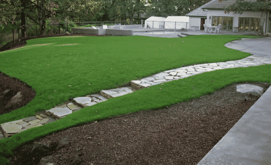 Our Lawn Needs Aeration to Be Lively