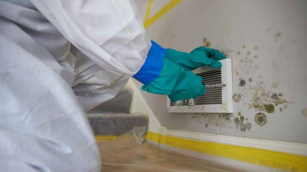 Why All Businesses Need Commercial Mold Testing