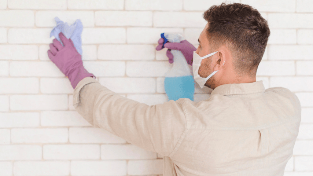 The Essential Guide to Mold Removal Services How to Safely Eliminate Mold from Your Home