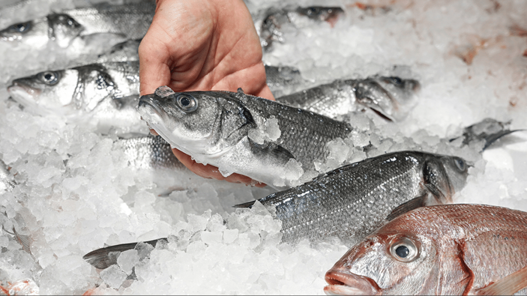 Achieving Efficiency in Fish Processing: Top Machine Recommendations