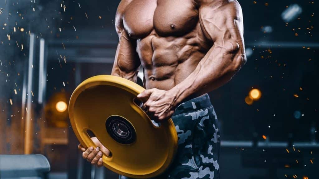 The Ultimate Guide to SARMs Cycle Everything You Need to Know