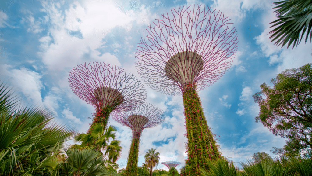 Charming Green Spaces Singapore's Best Parks for Leisure Activities