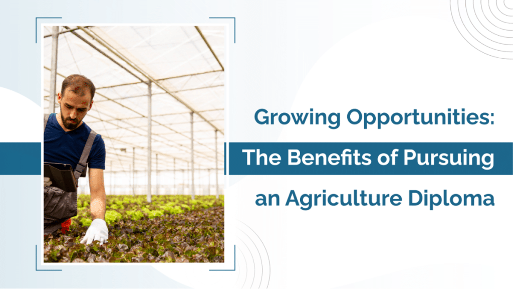 Growing Opportunities The Benefits of Pursuing an Agriculture Diploma