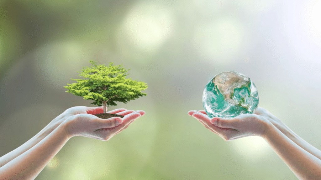 Small Steps to Take Towards Sustainable Living