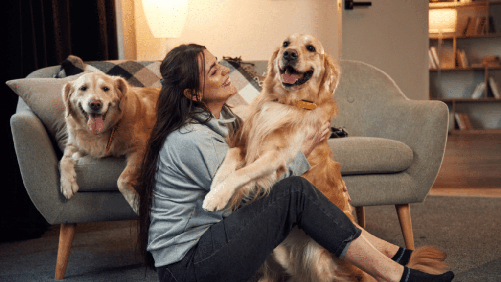 Why Socialization is Important in Your Pet’s Condo Life