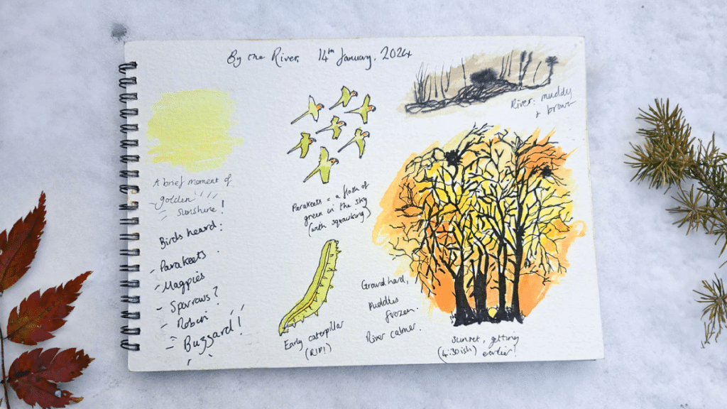 Finding Calm Through Nature Journaling