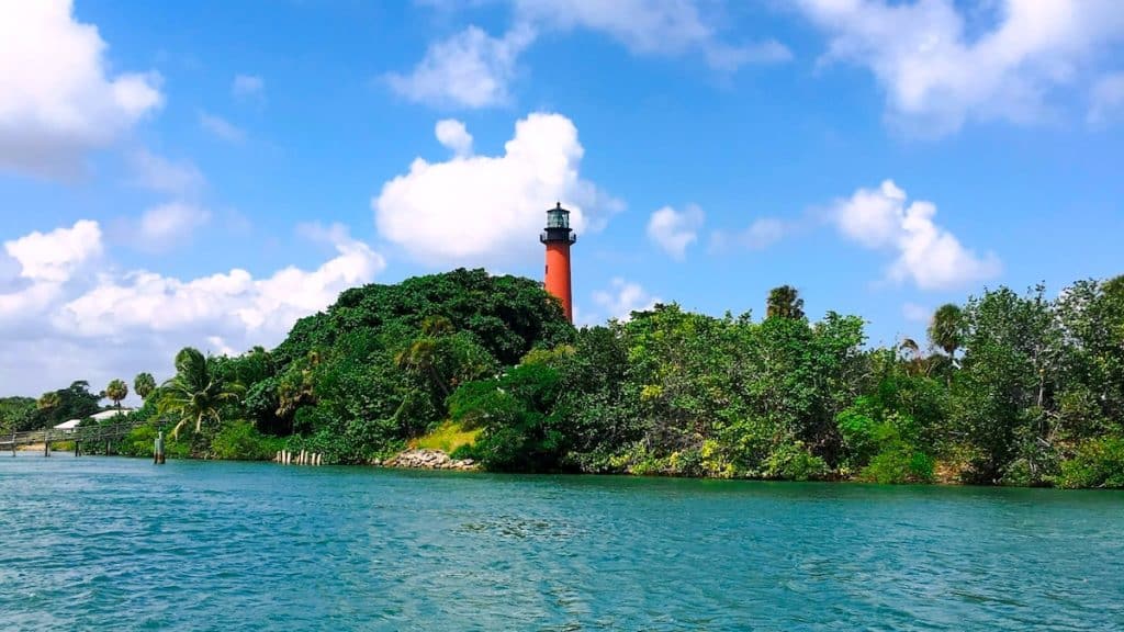 Image 1 of Mold Only: Helping Homeowners in Jupiter with Expert Mold Removal Services